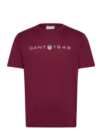 Printed Graphic Ss T-Shirt Tops T-Kortærmet Skjorte Burgundy GANT