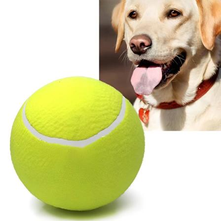Tennispallo koiran purulelulle Lemmikkikoiran interaktiiviset lelut - Perfet