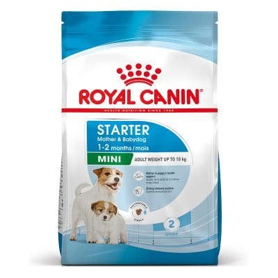 Royal Canin Mini Starter Mother & Babydog Crocchette Per