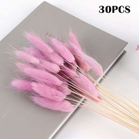 Färgglada torkade blommor evig bukett Riktiga blommor för heminredning Fotografi rekvisita 30 st/bunt