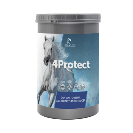 4 Protect Mangime Complementare Per Difese Organismo Equini