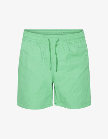 Classic Swim Shorts - Spring Green - Male - 2XL