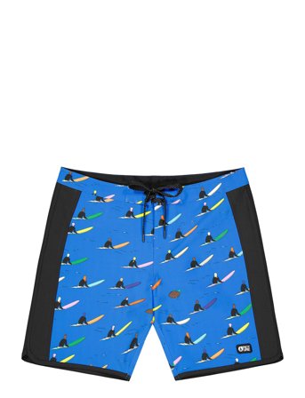 PICTURE ORGANIC CLOTHING | Sb 17 Boardshorts | 32