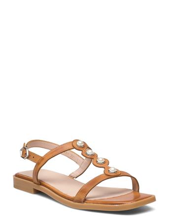 A-1421 Pergamena Brown Wonders