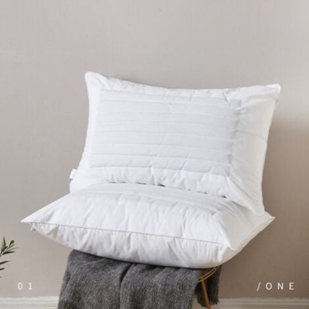 Puter 48x75 2-pak Fløyelspute med bokhveteskall