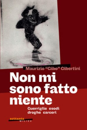 Non mi sono fatto niente Maurizio Gibo Gibertini