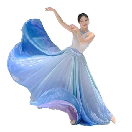 Kvinders Ballet Skørter Chiffon Ballet Kjole Tulle Skørt Dansekostumer Voksen