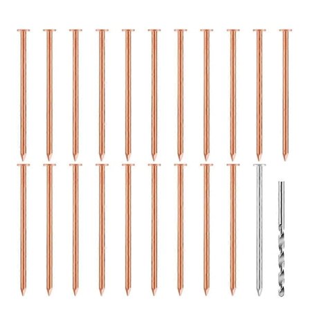 20 stk Kobbernagler for å Drepe Trær, Stubber & - 3,5 Tommer Lange Leveres med 1 Stålnagle og 1 Bor
