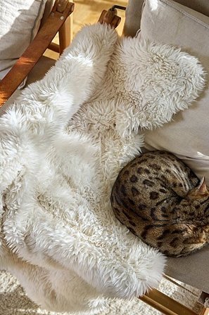 Jotex - Imitatiebont Wit Wit - MANI - Koop Dierenaccessoires bij Jotex