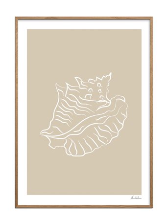 Poster & Frame Emilie Luna - Seashell 02 - Multi/patterned - 50X70CM