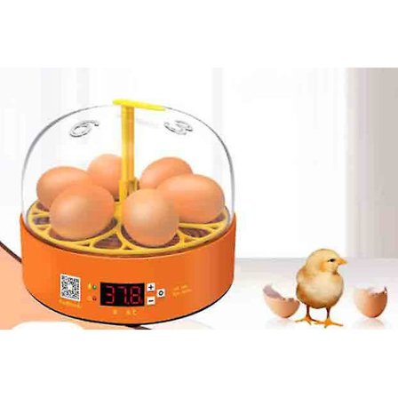 Automaattinen hautomakone 6 kananmunan hautomo, automaattinen munien kääntö EU