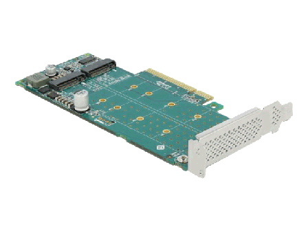 Delock PCI Express x8 Card to 2 x internal NVMe M.2 Key M - Bifurcation - Diskkontroller - M.2 NVMe Card - PCIe 4.0 x8