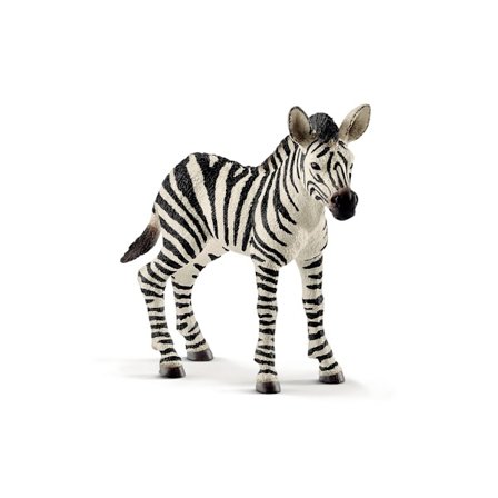 schleich WILD LIFE Zebra Föl 14811
