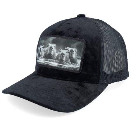 Calza Pennello - Zwart trucker Cap - Gang Of Capybara Patch Velvet Black Trucker @ Hatstore