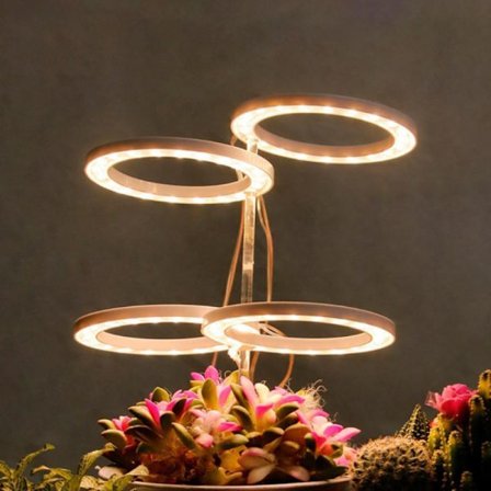 Grow Light Ring Lampe 4 RING 4 RING