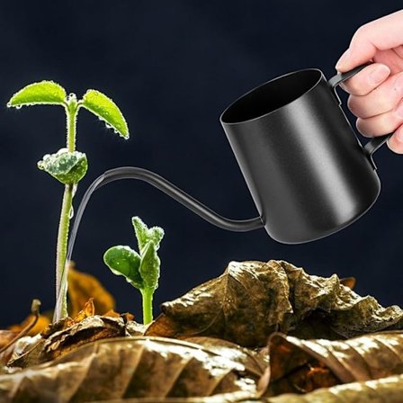 250 ml Sort Vandkande - Lille Vandkande egnet til Indendørs Planter - Lang Tud i Rustfrit Stål - Havevandkande egnet til Stueplanter og