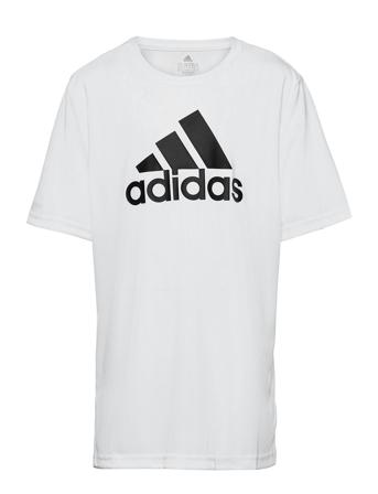 Adidas Designed To Move Big Logo T-Shirt White Adidas Performance