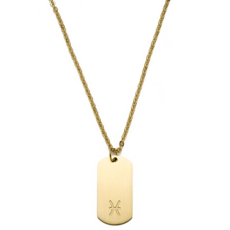 Złocisty stalowy naszyjnik ze znakiem zodiaku Ryby dla mężczyzn - Stalowe naszyjniki