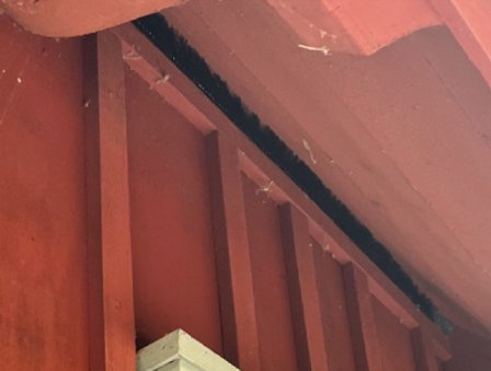 Muizenborstel 10 m - Ø 6 cm