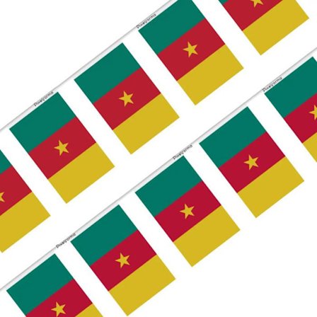 Guirlande Drapeau - Cameroon - 50 stk - 14 x 21 cm - Polyester - Udendørs