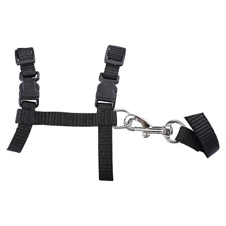 Sele, Justerbar Design Nylon Rem Strop Halsbånd Med Snore, Sikkerhedssele Til Små Hunde Og Kæledyr Udendørs Gåture, Blå