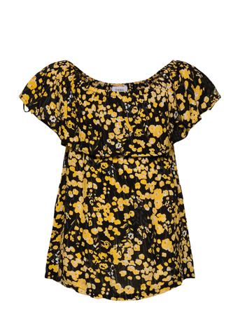Ammi 764 Yellow D-xel