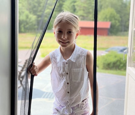 Myggnett med magnet for dør 210cm (Farge: Svart, Størrelse: 210x100 cm)