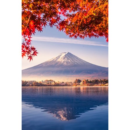 30x40cm 5D Diamant Maleri DIY Fuld Dækning Diamant Kunst - FJ556