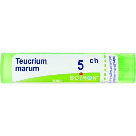 Boiron Teucrium Marum 05Ch Tubo 80 Granuli 4g