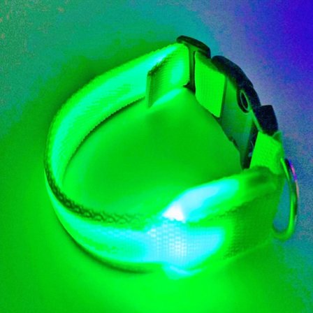 LED hundehalsbånd, oppladbart, lysende, justerbart, refleks