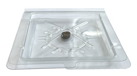 S-Trap -sokeritoukka-ansa, 2 kpl