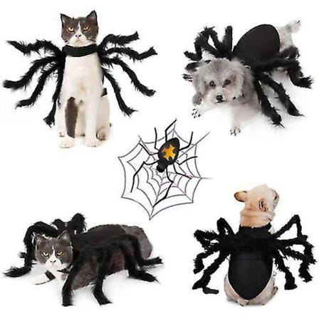 Svart Spider Kostyme Katt Hund Valp Kjæledyr Halloween Klær Outfit Spider Cosplay W M