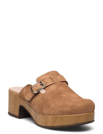 D-9503-P Trend Brown Wonders