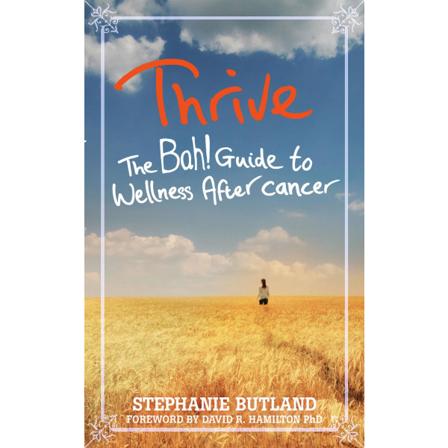 Thrive - The Bah! Guide To Wellness After Cancer 9781848509665