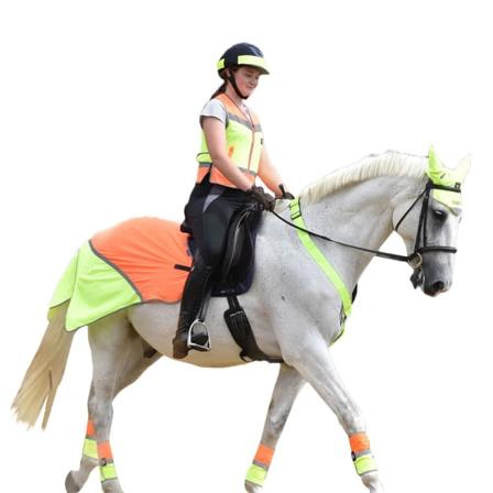 Equisafety Mesh Andningsbar Horse Quarter Träningsduk Häst Y