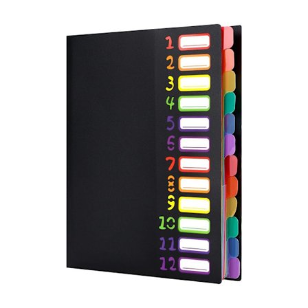 Projektikansio A4 järjestäjä työpöydän järjestäjä 12 lokeroa työpöydän kansio