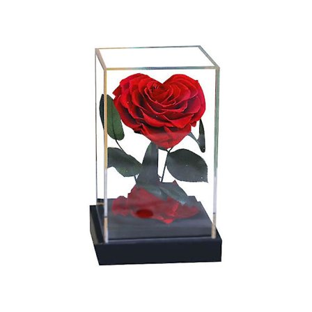 Bevart ekte evig hjerteformet rose i gjennomsiktig akryl for henne Valentinsdag bursdag(hjerteformet)
