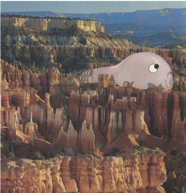 Warm former SANA SHENAI