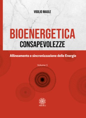 Bioenergetica. Consapevolezze. Vol. 3: Allineamento e sincronizzazione delle energie Vigilio Maule
