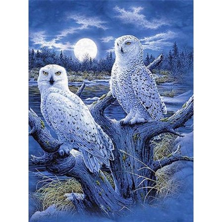30 × 40 Diamond Painting Brodery Diamond Painting Complete Kit