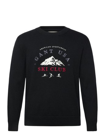 GANT Embroidered Graphic C-Neck - Black - S