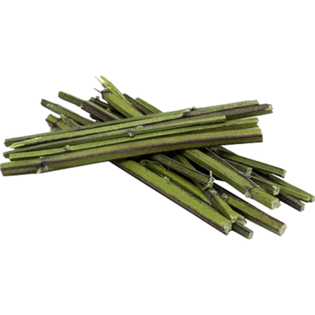 JR FARM - Bavarian Catnip Sticks Green 6 g - Katt - Katteleker & viftepinner - Tyggeleker - ZOO.no