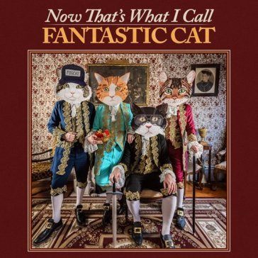 Now that's what i call fantastic cat Fantastic Cat