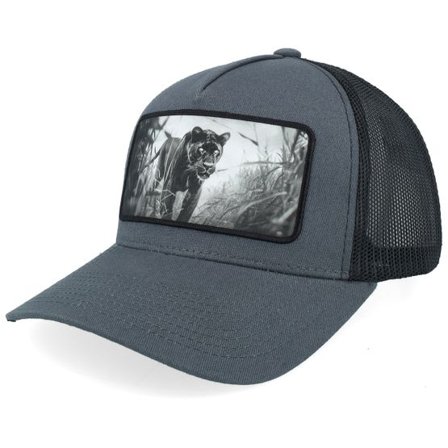 Calza Pennello - Grå trucker Keps - Black Panther Big Patch Grey/Black Trucker @ Hatstore