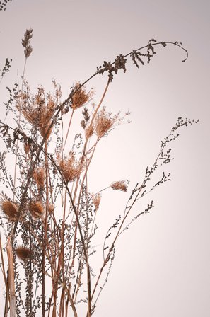 Malerifabrikken - Poster Everlasting - Beige - Postere - Fra Homeroom