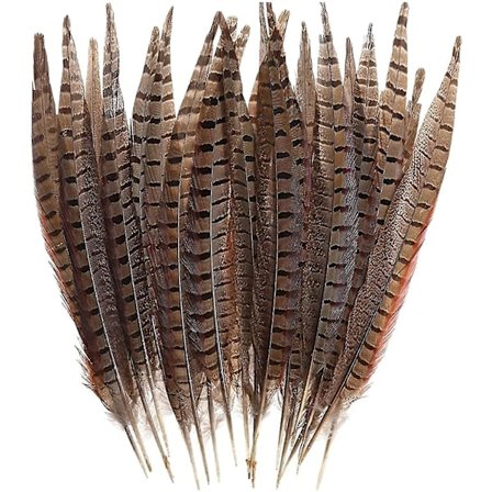30 stk Naturlige Fasanfjer, DIY Fasanhalefjer