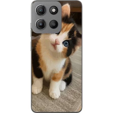Kompatibelt Mobildeksel til Motorola Moto G15 Söt kattunge med blå ögon och trefärgad päls sittande inomhus charmigt motiv med gulligt uttryck och mju