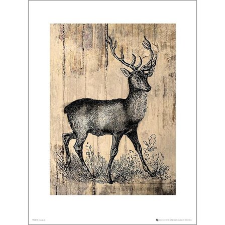 Exklusivt Art Print - Deer Sketch