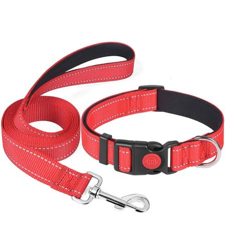 S, Rød Taglory Hundehalsbånd, Klassisk Justerbar Reflekterende Nylon C