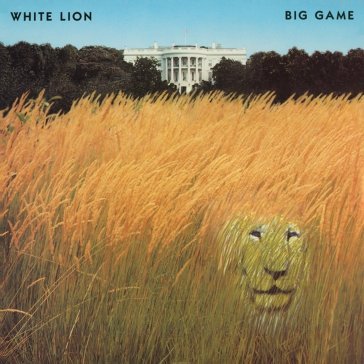 Big game Lion White